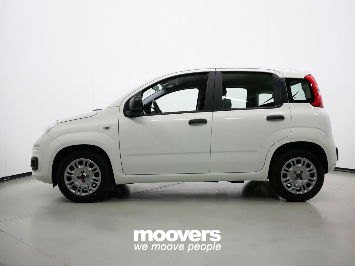 FIAT Panda 1.0 FireFly S&S Hybrid  ECOINCENTIVI 2024