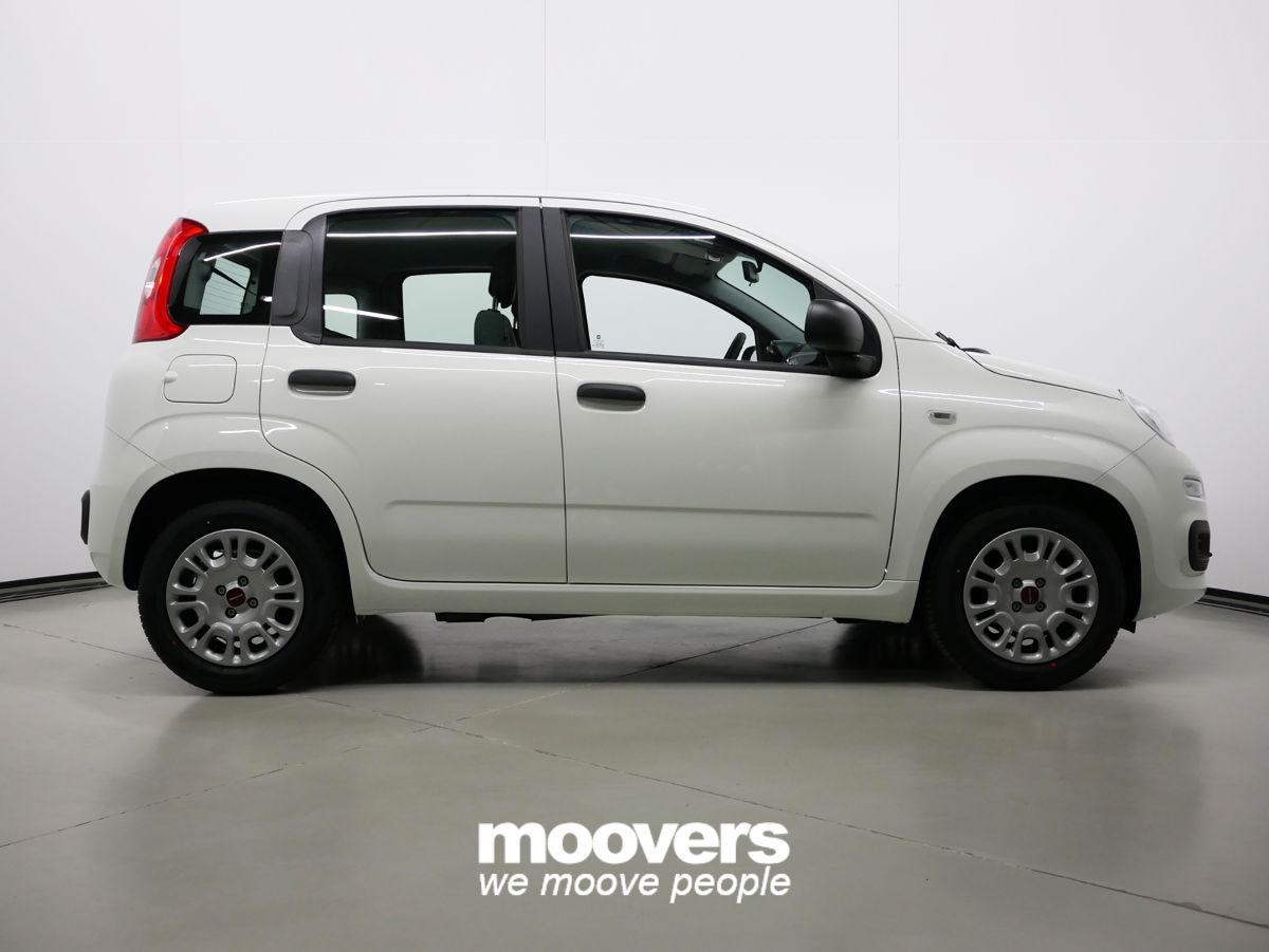 FIAT Panda 1.0 FireFly S&S Hybrid  ECOINCENTIVI 2024